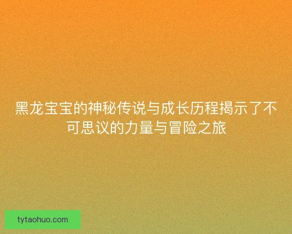 黑龙宝宝的神秘传说与成长历程揭示了不可思议的力量与冒险之旅