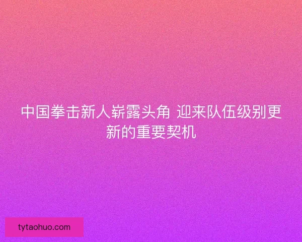 中国拳击新人崭露头角 迎来队伍级别更新的重要契机